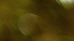 La mejor forma de complementar tus looks de primavera es con accesorios.