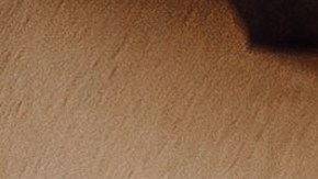 Pinterest identificó cuáles serán las tendencias en boda para este 2025.