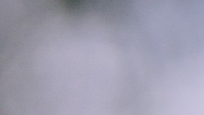 Los diseños para uñas que están en tendencia para novias se encuentran en Pinterest.