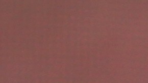 Zendaya destacó en redes al cambiar su look en una nueva campaña de moda.