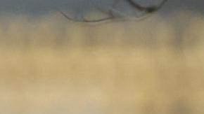 La princesa Kate recuperó uno de sus looks más elegantes para asistir al palacio de Buckingham.