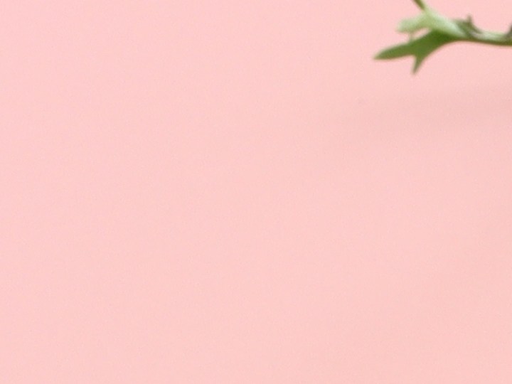 Los aromas florales resultan ideales para usar en la primavera.