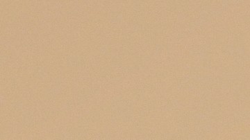 Cuida tu cabello para evitar las puntas abiertas.