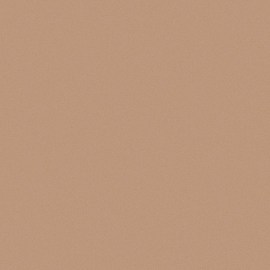 El Toasted Bronzey Makeup es el nuevo look en tendencia para las chicas.