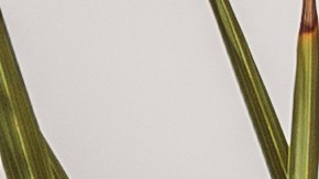 El boho chic es la tendencia que las chicas amarán en verano.