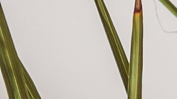 El boho chic es la tendencia que las chicas amarán en verano.