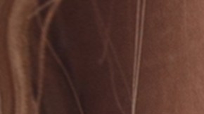 El Glossy Makeup es la tendencia ideal para usar en la temporada de verano.