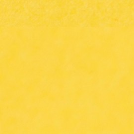 Usa perfumes cítricos con la llegada del verano.