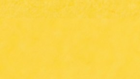 Usa perfumes cítricos con la llegada del verano.