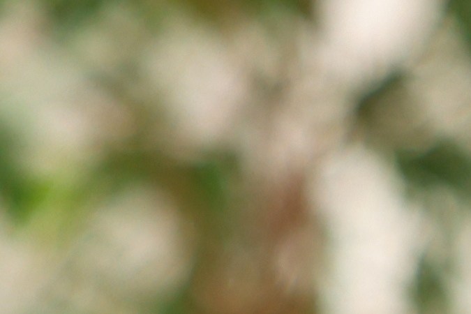 Usa medias con tejido de algodón para evitar el sudor.