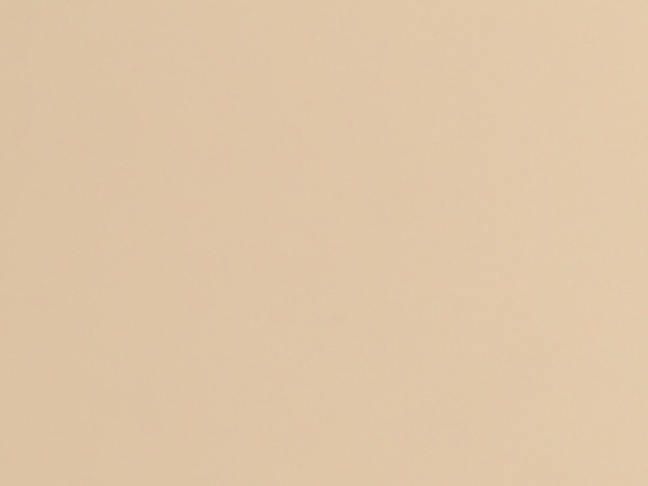 Cuida tu cabello con mascarillas caseras de aloe vera.