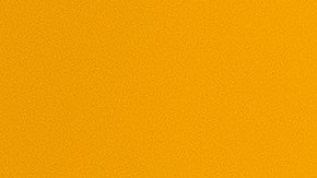 Prueba nuevos peinados para tu regreso a clases.