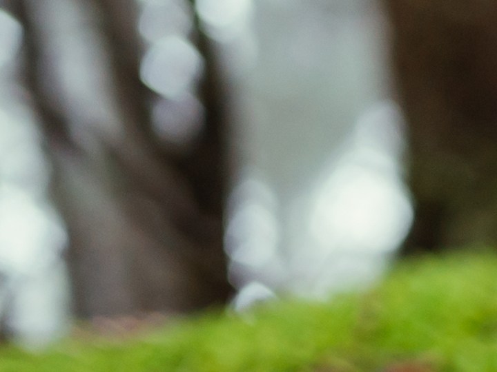 Los zapatos barefoot ayudan a mejorar la postura y caminata en las personas.