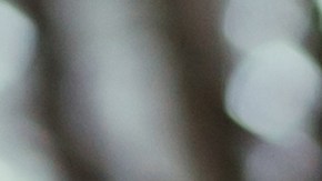 Los zapatos barefoot ayudan a mejorar la postura y caminata en las personas.