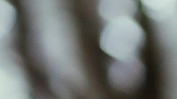 Los zapatos barefoot ayudan a mejorar la postura y caminata en las personas.