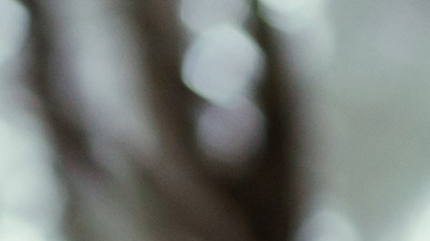 Los zapatos barefoot ayudan a mejorar la postura y caminata en las personas.