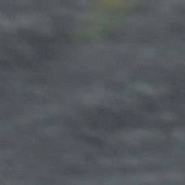 Empieza a cuidar tu cabello con el tónico de laurel para hacerlo crecer.