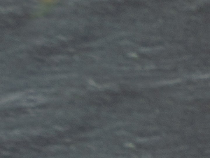 Empieza a cuidar tu cabello con el tónico de laurel para hacerlo crecer.