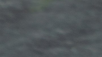 Empieza a cuidar tu cabello con el tónico de laurel para hacerlo crecer.