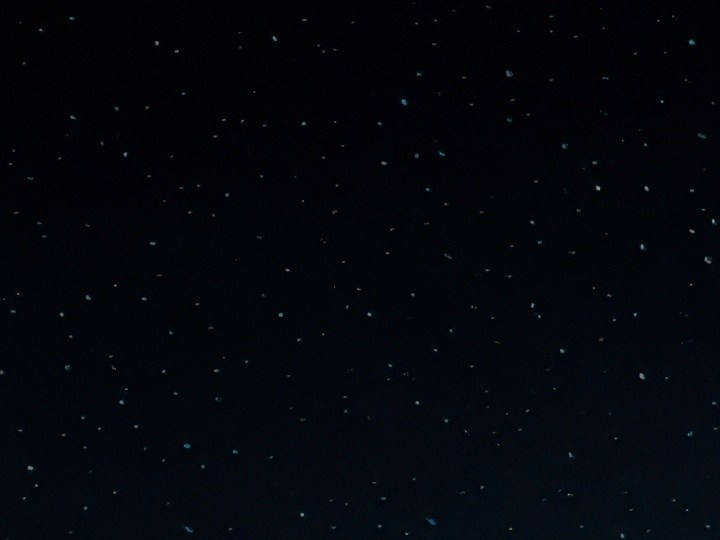 Corta tu cabello según las fases lunares de septiembre.