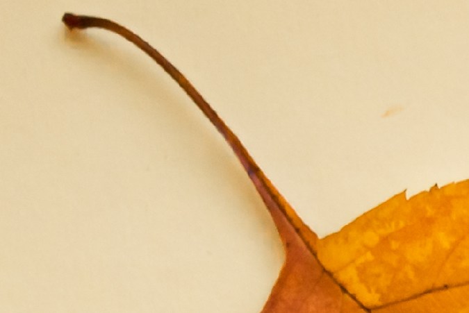 Usa productos adecuados para cuidar tu piel en otoño.