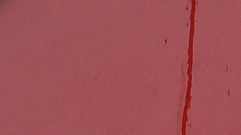 Grace Wales Bonner es la nueva directora creativa en Hermès.