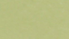 Kérastase creó una serie de productos específicos para controlar el frizz.