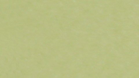 Kérastase creó una serie de productos específicos para controlar el frizz.