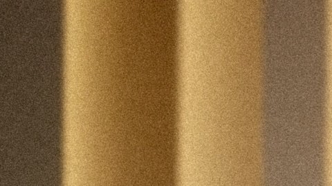 El color que debes llevar en tus accesorios este otoño es el marrón.