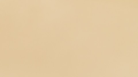 La tendencia de los Pep toe volverán a la moda en calzados.