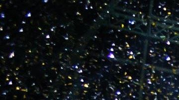 El Victoria's Secret Fashion Show se transmitirá de forma gratuita en diferentes plataformas.