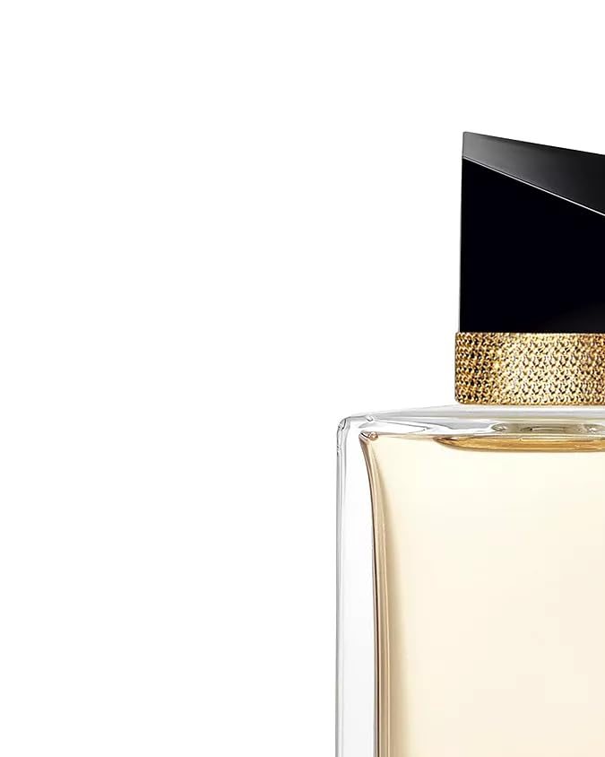 Libre de Yves Saint Laurent, disponible en Amazon.