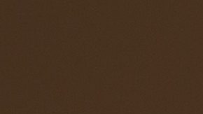 El cabello en tendencia esta temporada son los looks cortos.