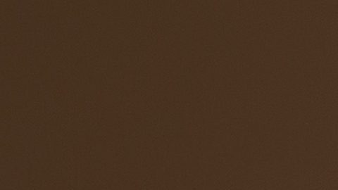 El cabello en tendencia esta temporada son los looks cortos.