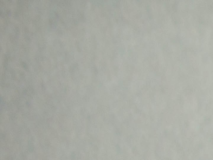 Los nuevos perfumes favoritos para el otoño son los florales.