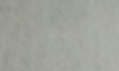 Los nuevos perfumes favoritos para el otoño son los florales.