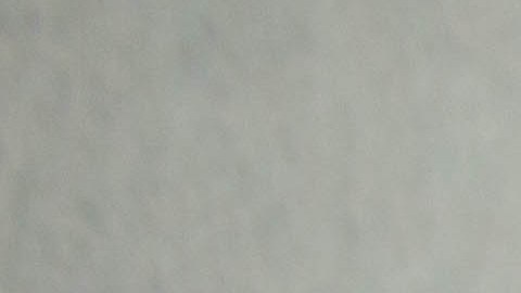 Los nuevos perfumes favoritos para el otoño son los florales.