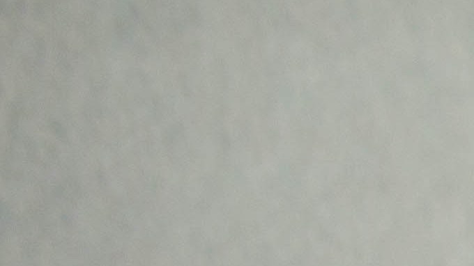 Los nuevos perfumes favoritos para el otoño son los florales.