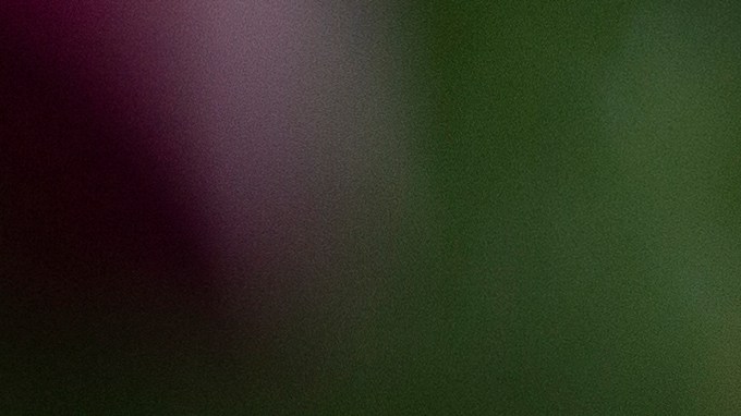 Pharrell Williams creó el calzado del año en colaboración con Adidas.