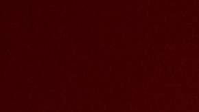 Este año el brillo se hace tendencia en los accesorios de moda.