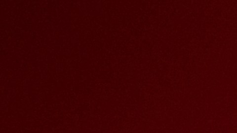 Este año el brillo se hace tendencia en los accesorios de moda.