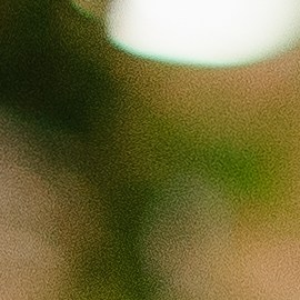 El agua oxigenada puede cambiar el color de tu cabello según su volumen.