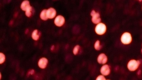 Maquillate en Navidad con las tendencias más destacadas de la temporada.