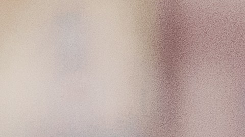 Las tendencias de moda se reflejaron en las búsquedas más populares de Google.