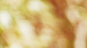 Los trajes de terciopelo se apoderan de la moda en Invierno.