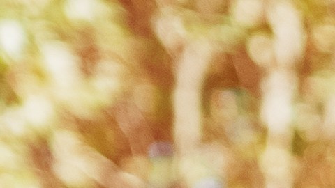 Los trajes de terciopelo se apoderan de la moda en Invierno.