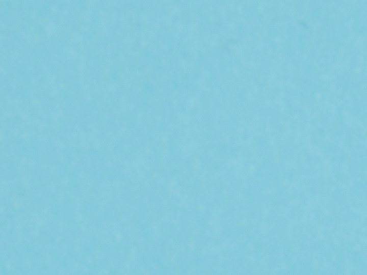 Google reveló cuáles fueron los diseños de uñas con mayor tráfico este 2025.