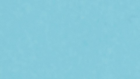 Google reveló cuáles fueron los diseños de uñas con mayor tráfico este 2025.