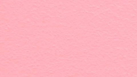 Incluye las zapatillas de bailarina en tus looks de moda.