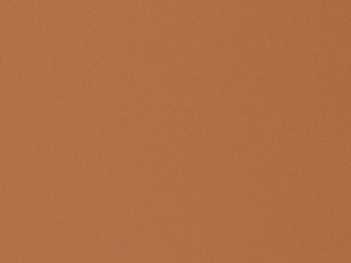 Promueve el crecimiento de tu cabello con los consejos adecuados.